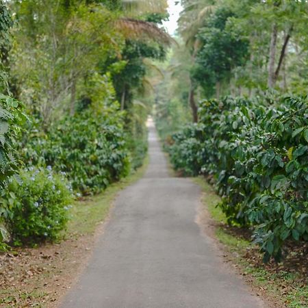 Belvilla The School Estate- Luxury Heritage Home In 200 Acres Madikeri Ngoại thất bức ảnh