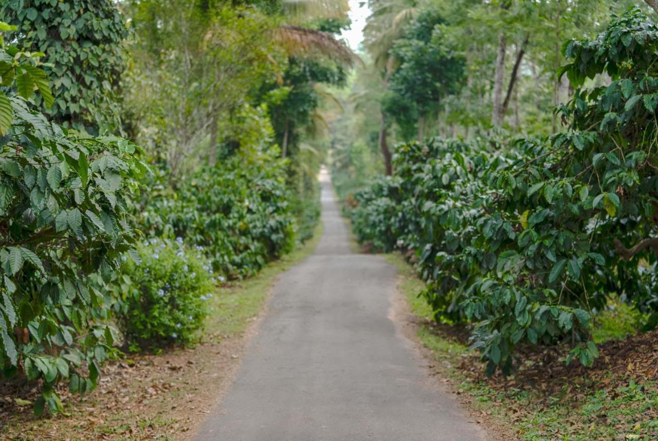 Belvilla The School Estate- Luxury Heritage Home In 200 Acres Madikeri Ngoại thất bức ảnh